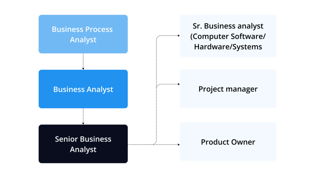 The potential career path of a business process analyst